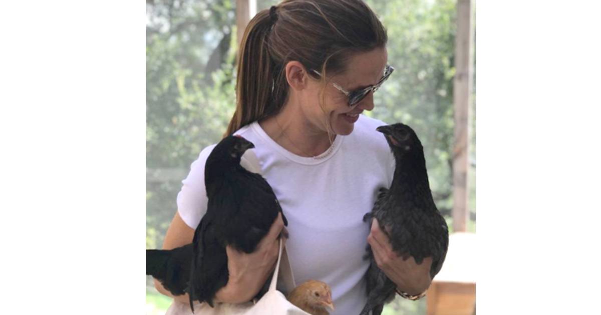 Jennifer Garner celebrated her chickens' birthday with a one-of-a-kind cake