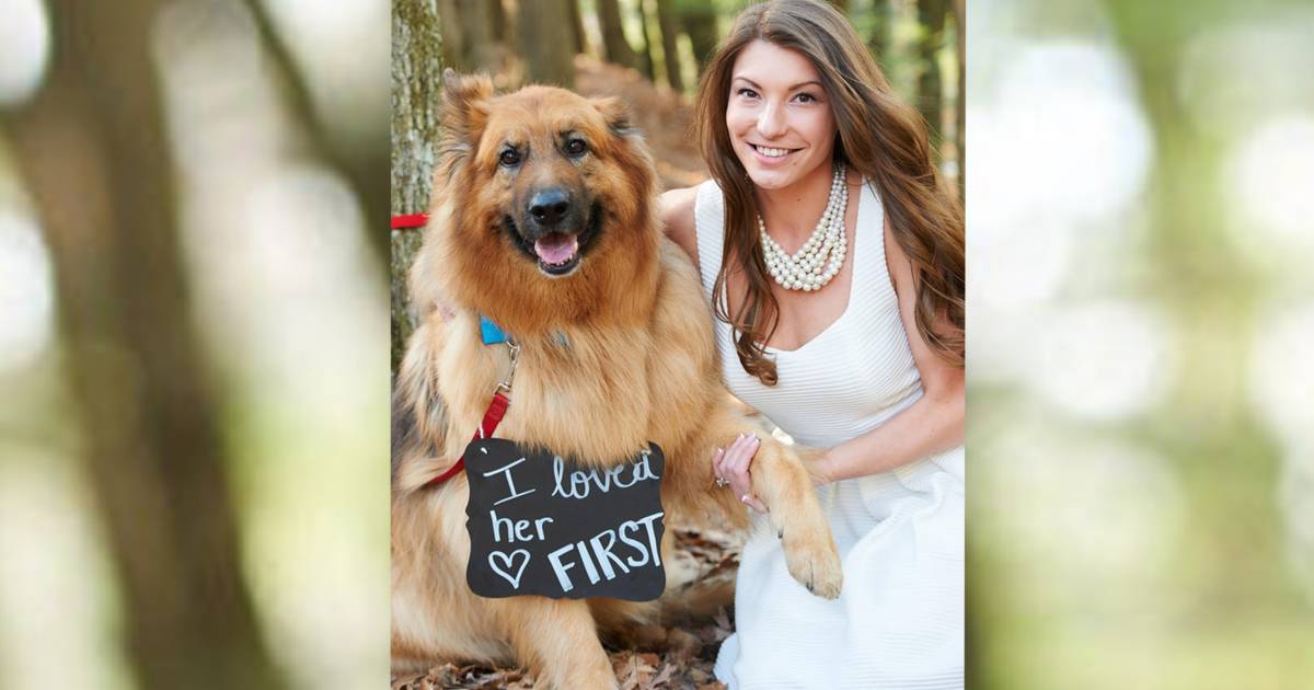 Man gets honest about relationship's 'pecking order' in hilarious engagement pic