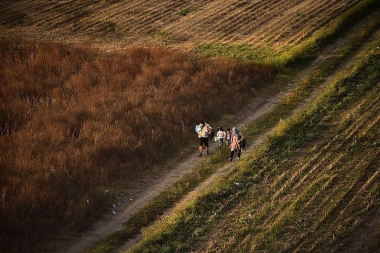 Image: A migrant family walks through a field in Croatia in 2015