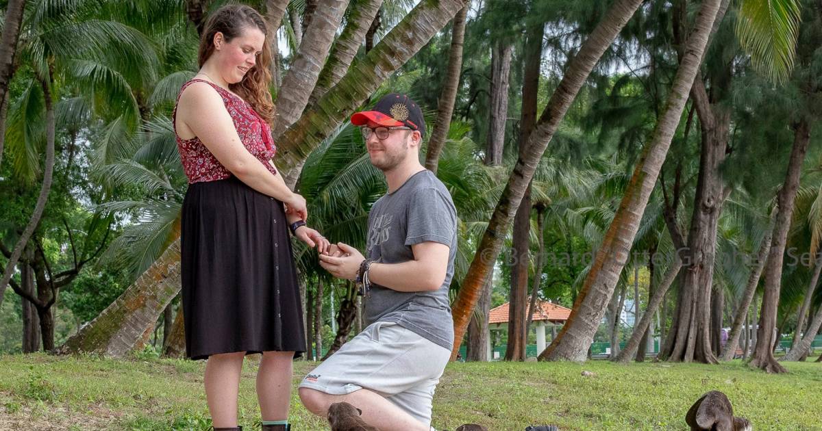 Otters photobombed this couple's engagement photo and it's adorable