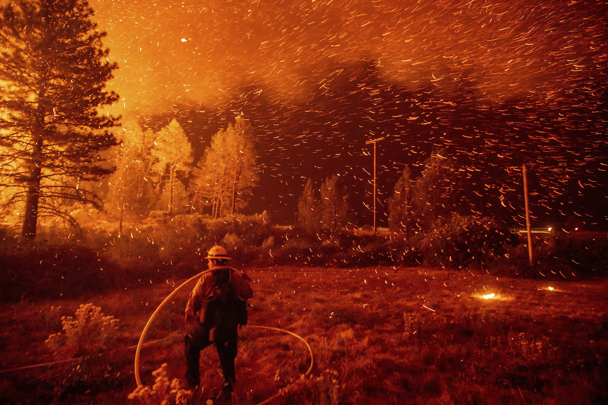 Image: Embers fly above a firefighter as he works to control a backfire as the Delta Fire burns in the Shasta-Trinity National Forest