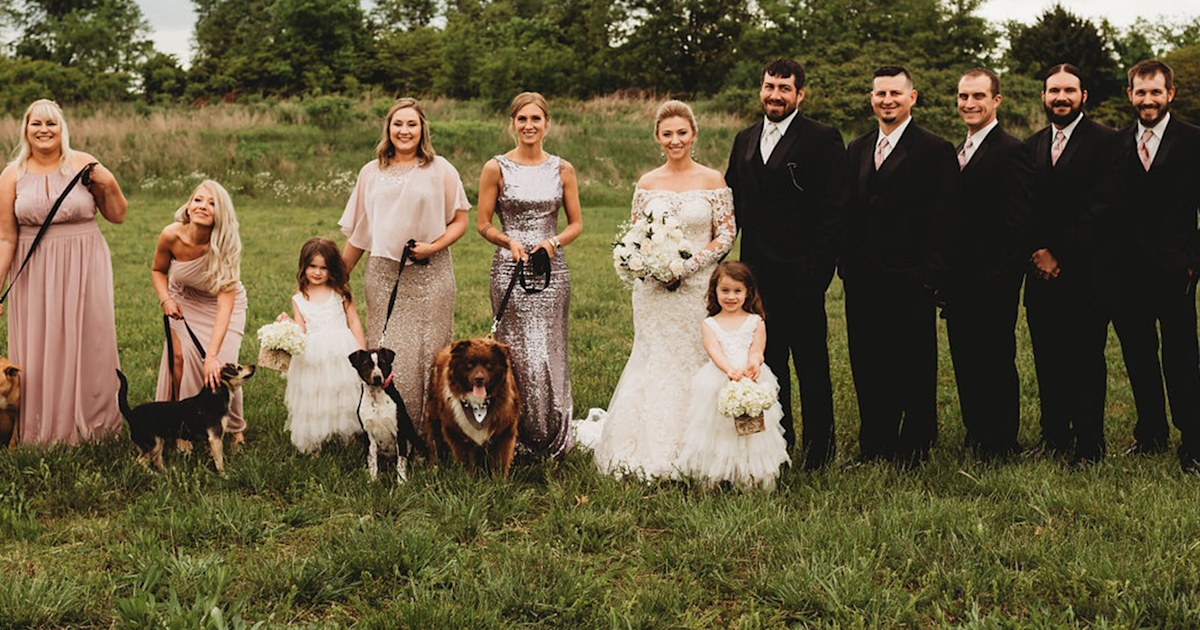 Bride includes rescue dogs in her wedding to raise awareness about adoption
