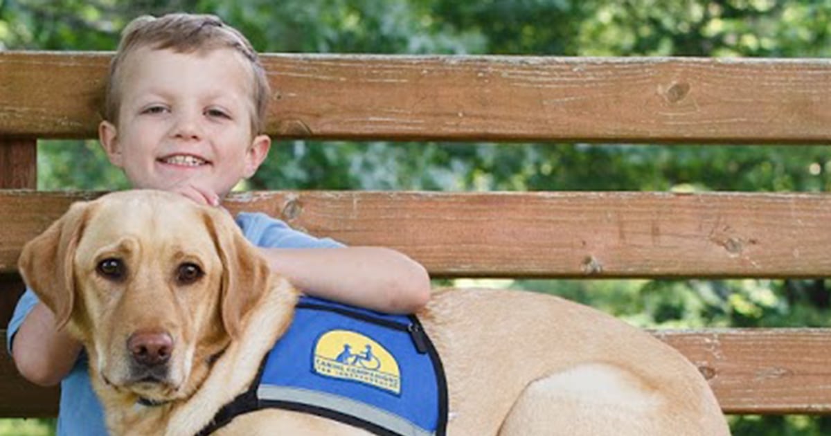 Service dog helps 7-year-old boy prepare for his 10th surgery