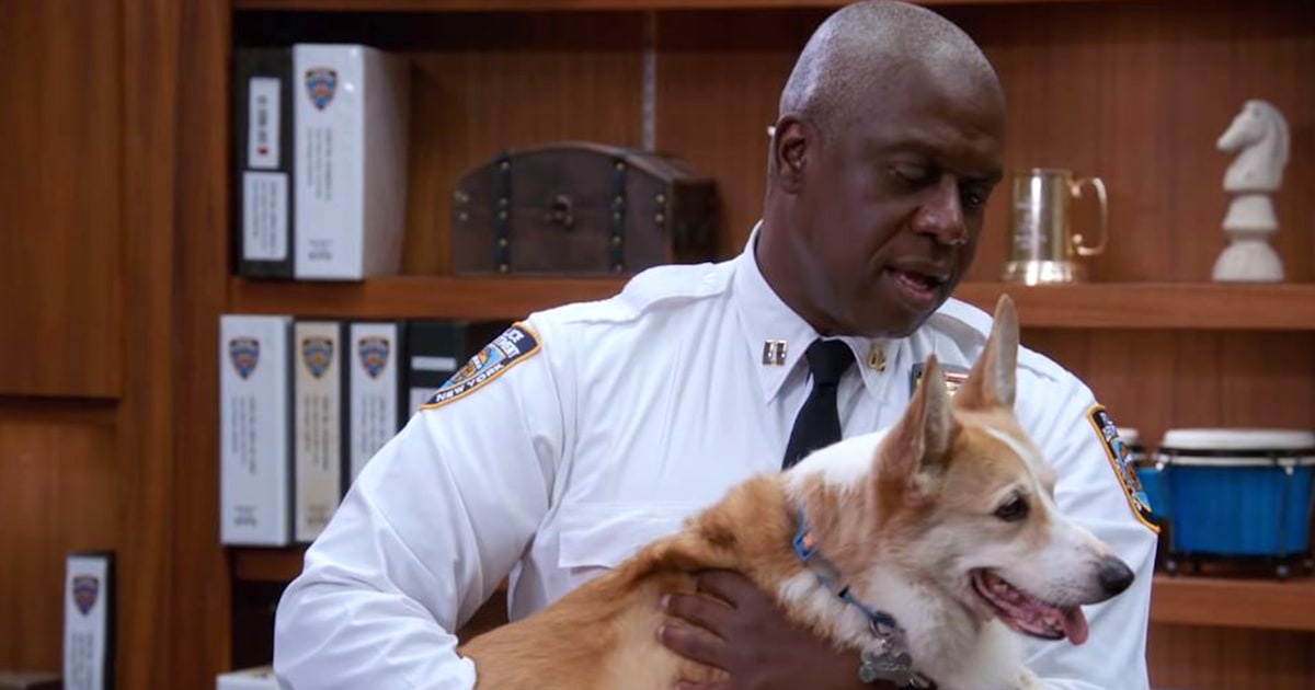 Dog that played Cheddar on 'Brooklyn Nine-Nine' has died