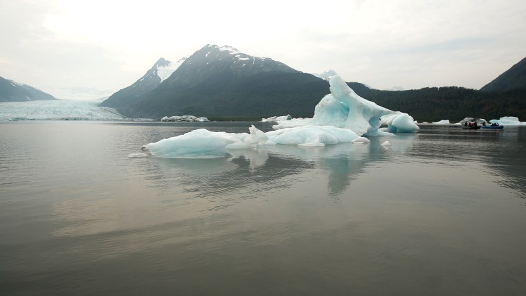 Icebergs float in a glacial lake, which didn't exist in 1950 - now visitors must kayak a mile to reach the glacier.