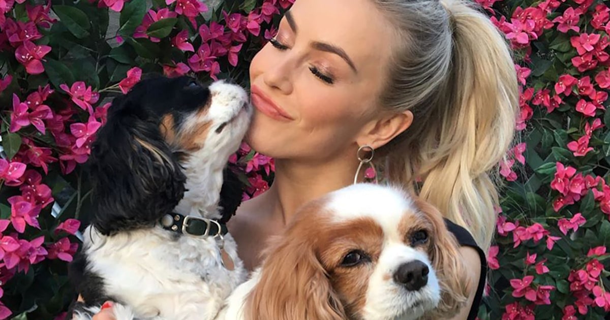 Julianne Hough mourns the death of her 2 beloved dogs: 'I love you forever'
