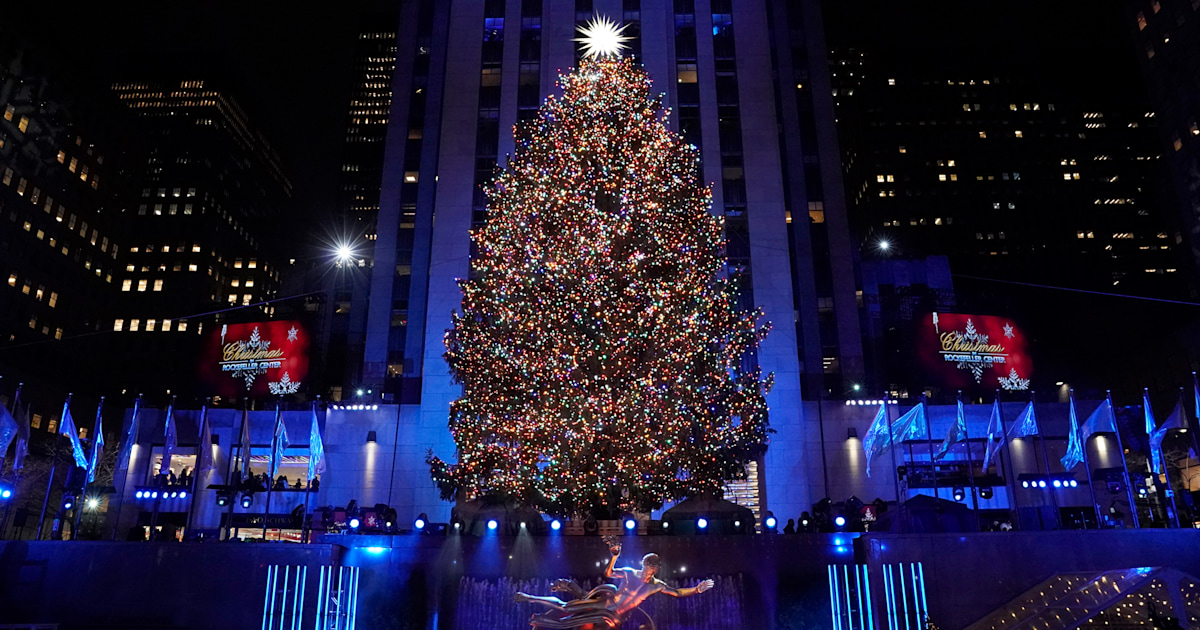 The 2019 Rockefeller Center Christmas tree has been chosen! Here's the 1st look