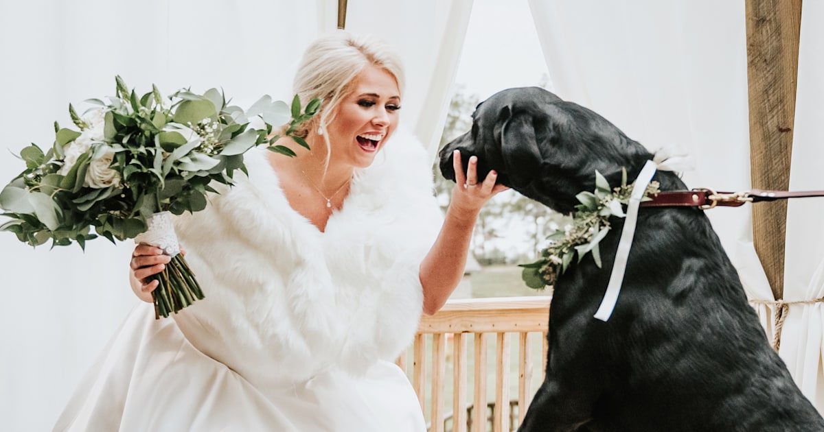 Bride has 'first look' photo shoot with her beloved dog