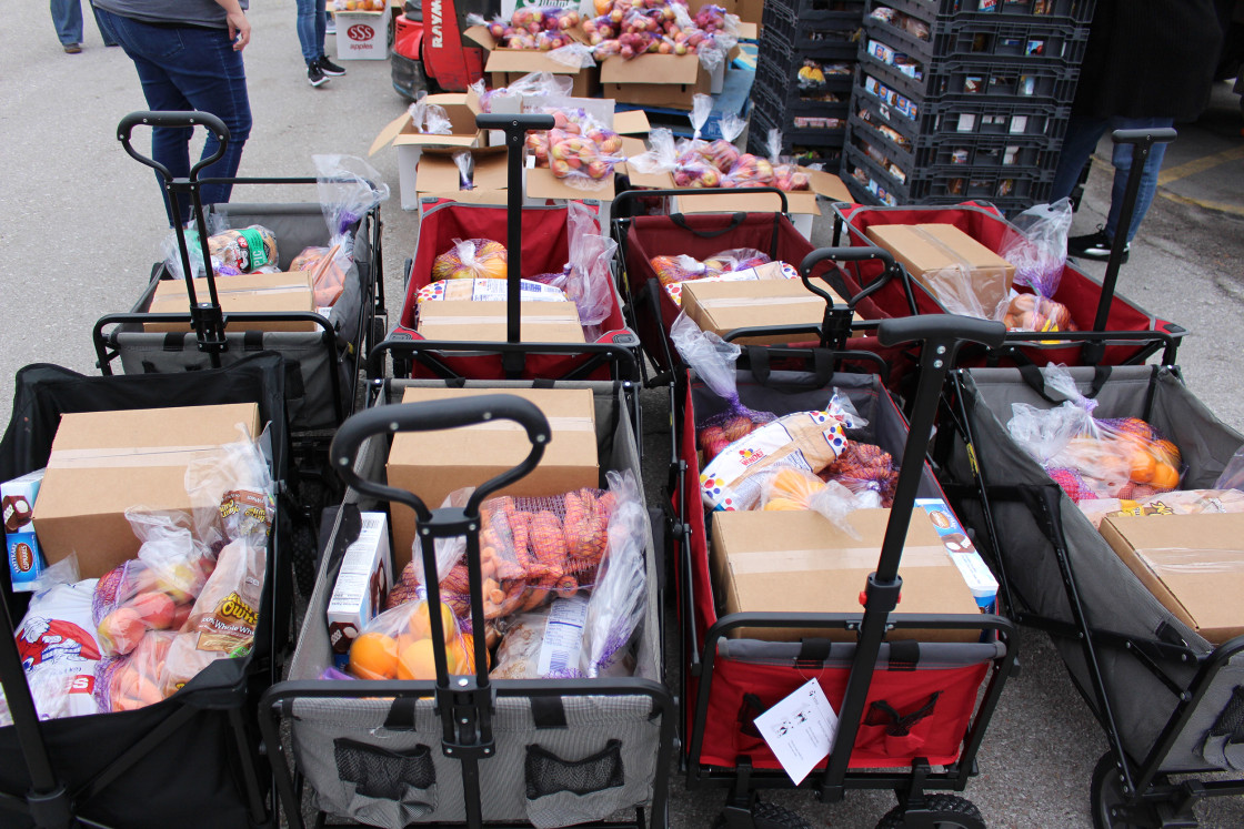 COVID-19 crisis heaps pressure on nation’s food banks