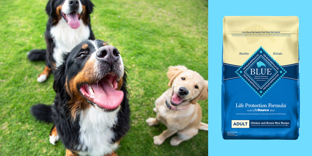 best dry dog food brands for large breeds