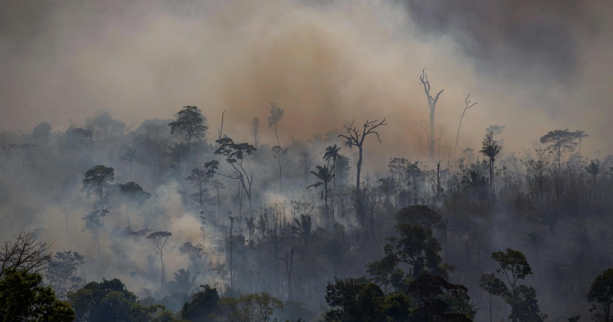 Scientists and environmental groups 'alarmed' by huge rise in Amazon wildfires thumbnail