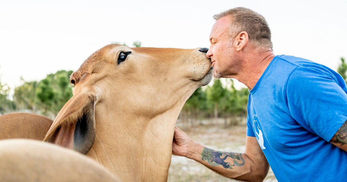 Man opens sanctuary for abused farm animals: 'You can't be depressed here'