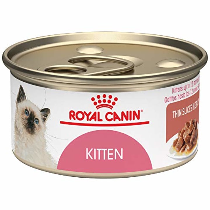 Royal Canin Kitten Food-websplashers
