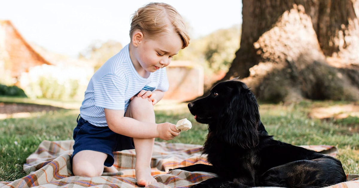 Prince William and Kate Middleton's beloved dog Lupo dies: 'We will miss him so much'