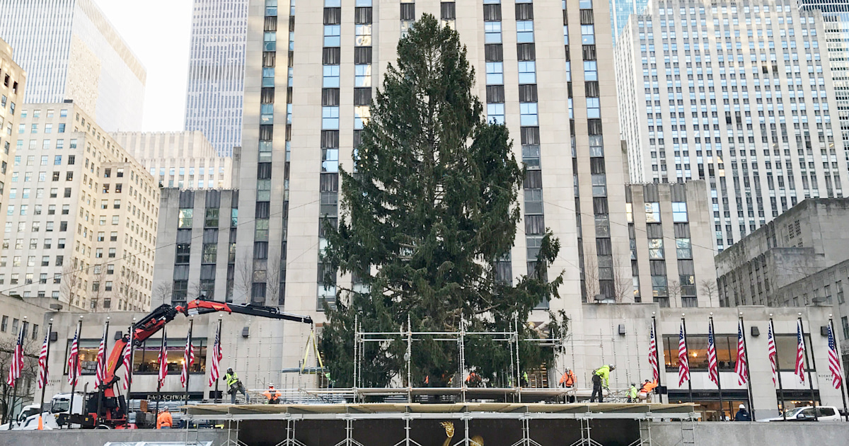 How to safely visit the Rockefeller Center Christmas tree this year