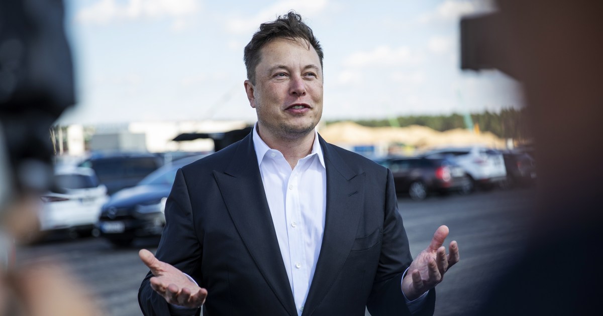 Elon Musk to donate some net worth for carbon capture