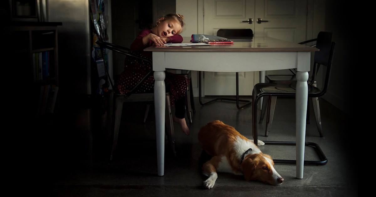 Losing a pet: How to talk to kids about the death of a pet