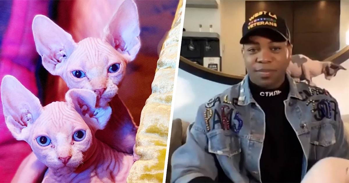Todrick Hall shares why he named his cats after 'Mean Girls'