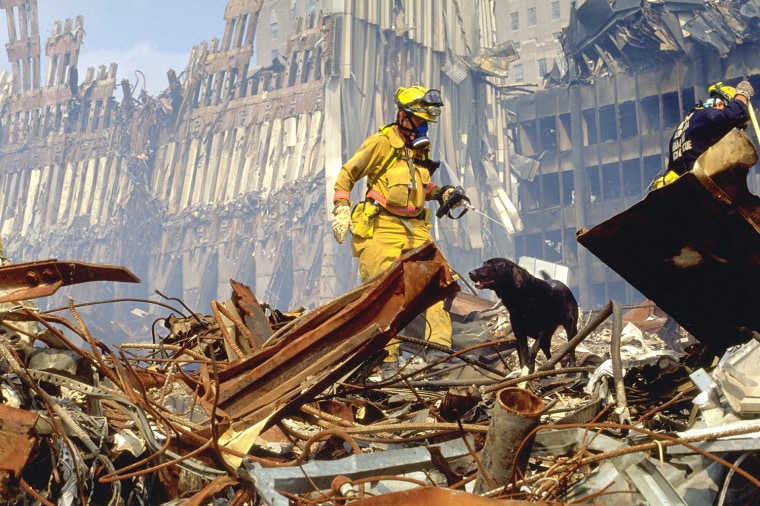 9/11 ’هيرو ڪتو‘ 27 ڪلاڪن کان ملبي ۾ ڦاٿل عورت کي بچائي ورتو